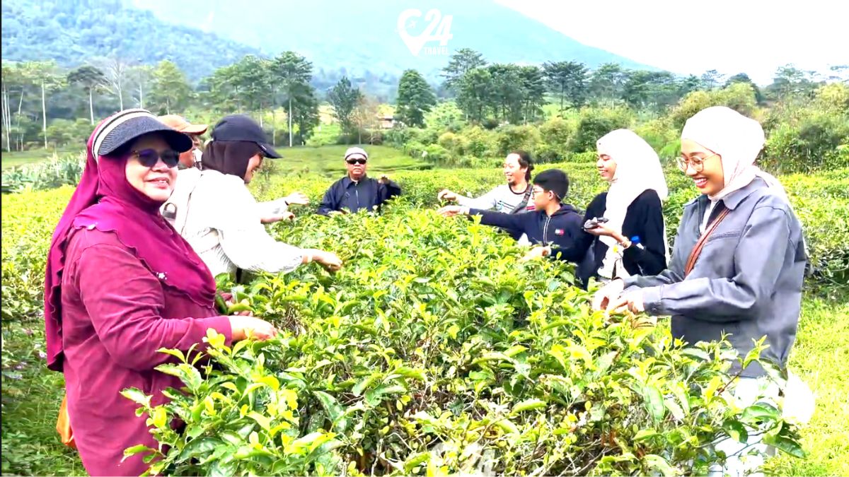 tea walking gathering bogor