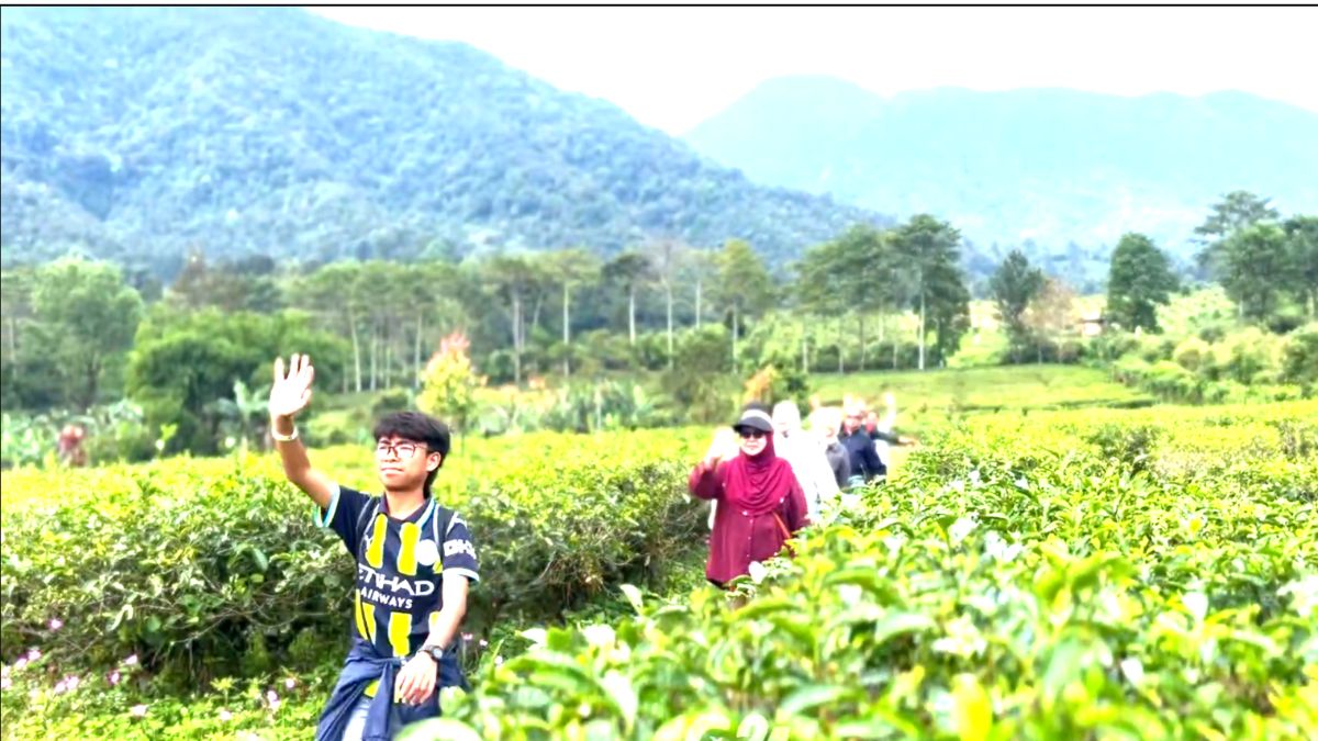 tea walking outing bogor