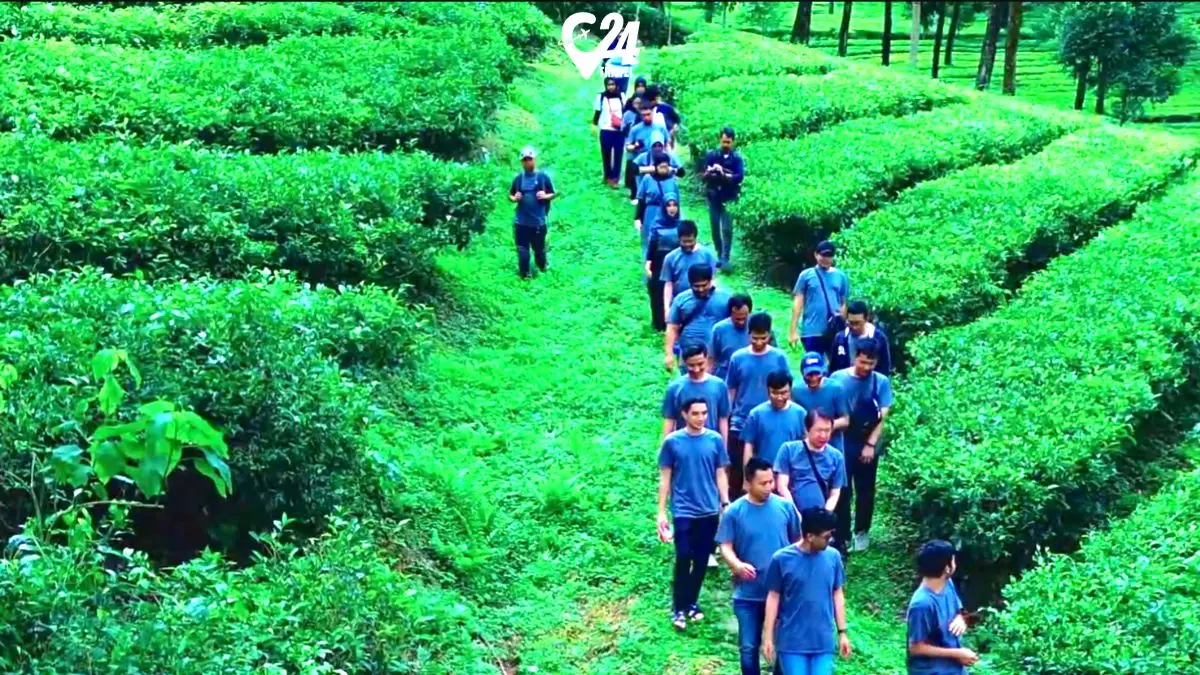 teawalking outbound bogor