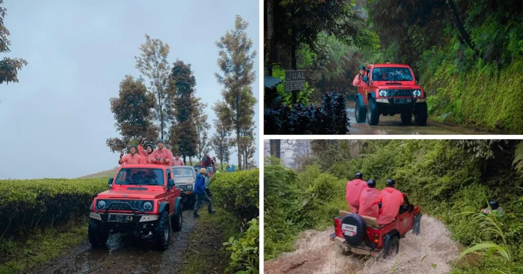 Desa Wisata Citeko Puncak