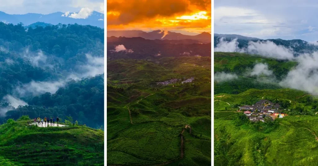 Kebun Teh Malasari Bogor