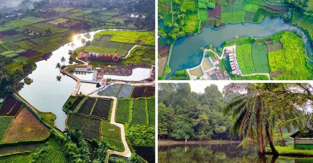 Situ Burung Ciampea Bogor