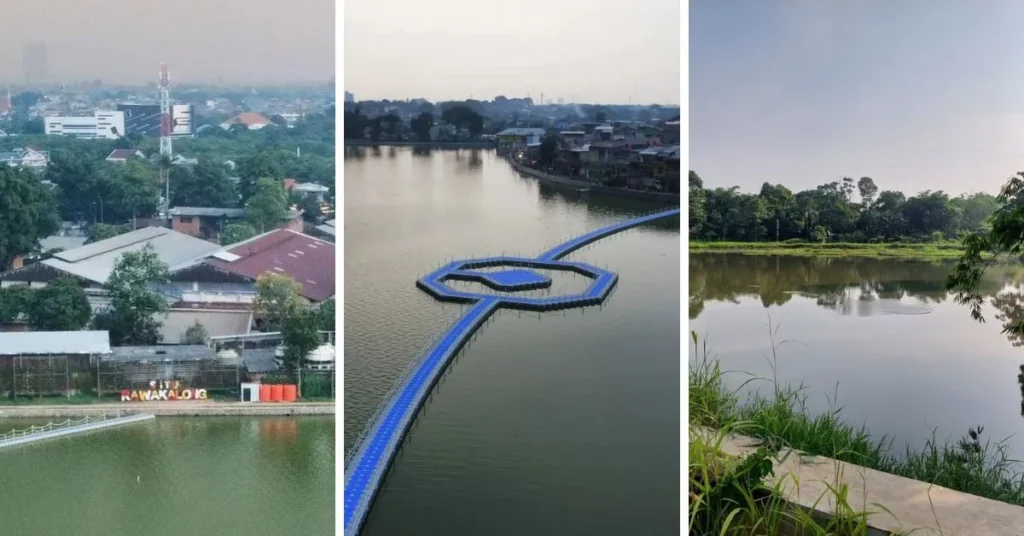 Situ Cimanggis Bogor