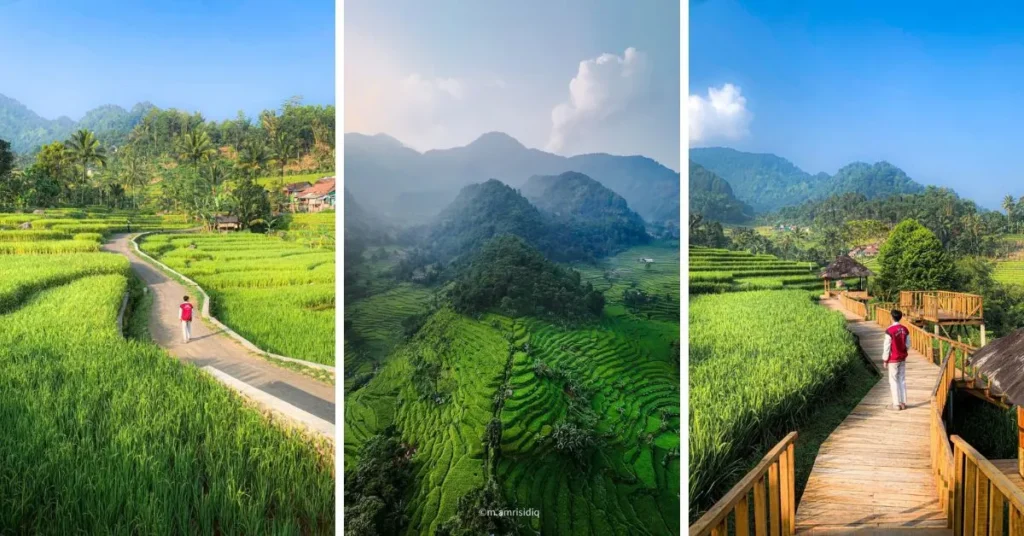 Wisata Sawah Terasering Purwabakti