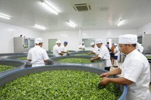 program Educational Tea Walk bogor