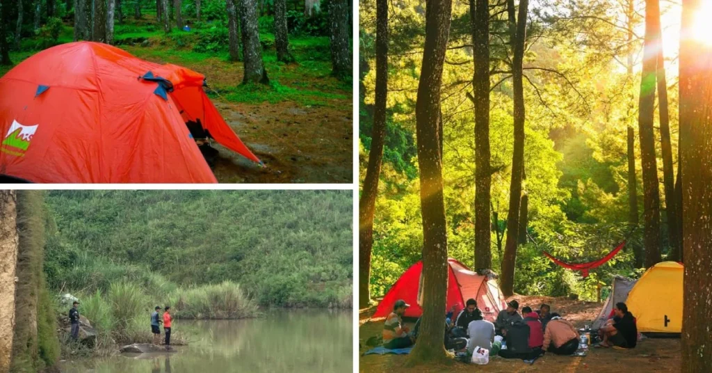 Camping Suaka Elang Loji Bogor