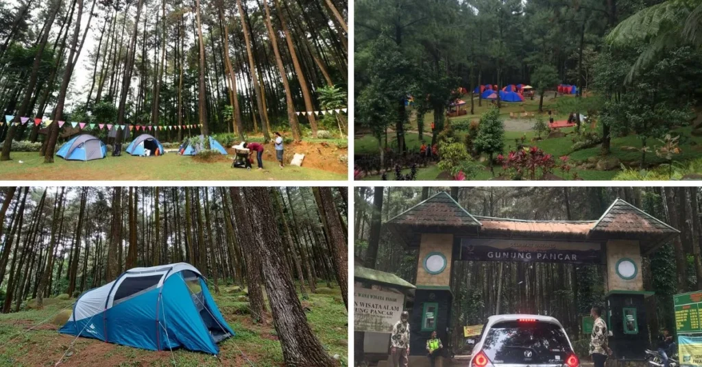 Camping TWA Gunung Pancar Bogor