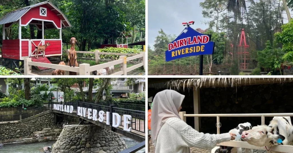 Dairyland Riverside Puncak Bogor