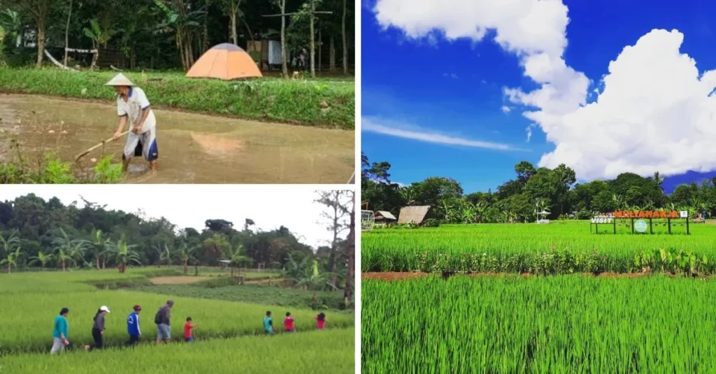 Desa Wisata Mulyaharja Bogor