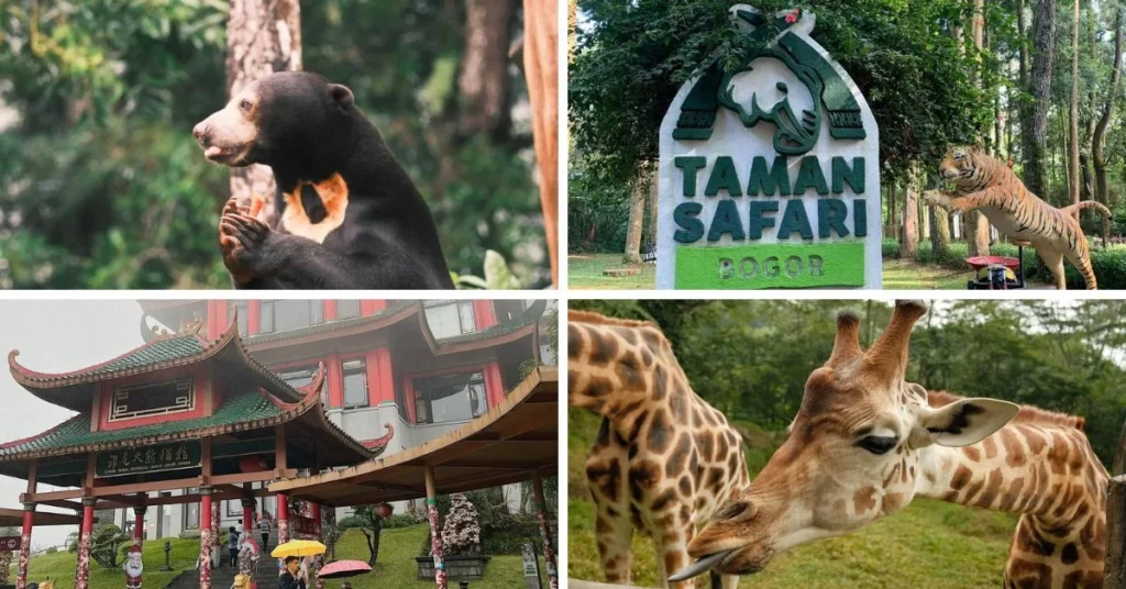 Taman Safari Indonesia Bogor